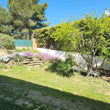 Vue Dans Un Cadre Enchanteur Villa Les Lecques